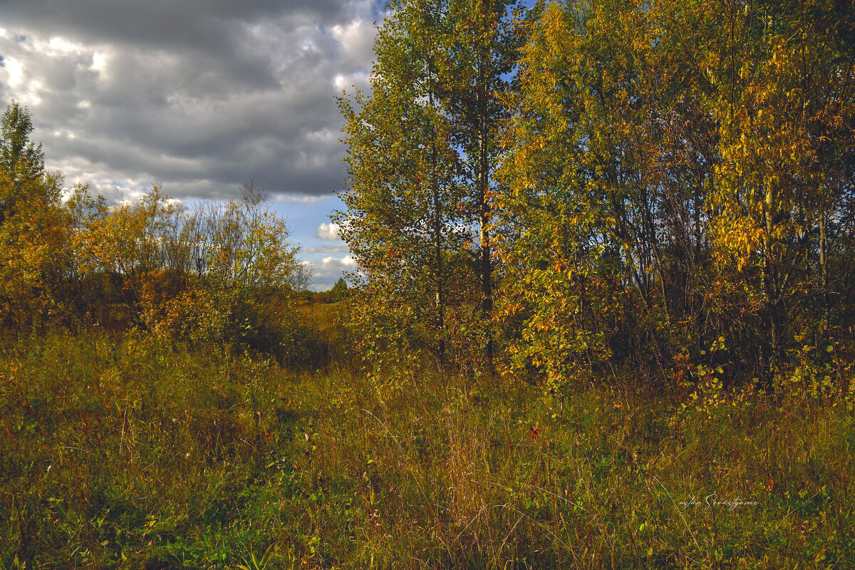 природа - סּﮗRuslan HAIBIKE Sevastyanovסּﮗסּ