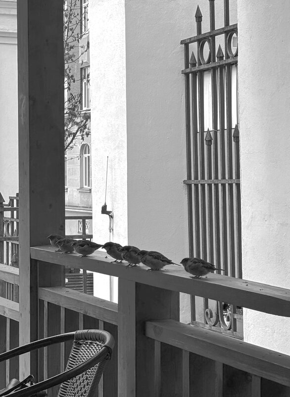 К построение готовы. - Любимова Ольга 