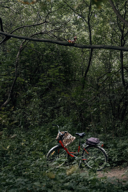 На отдыхе... - Michel 