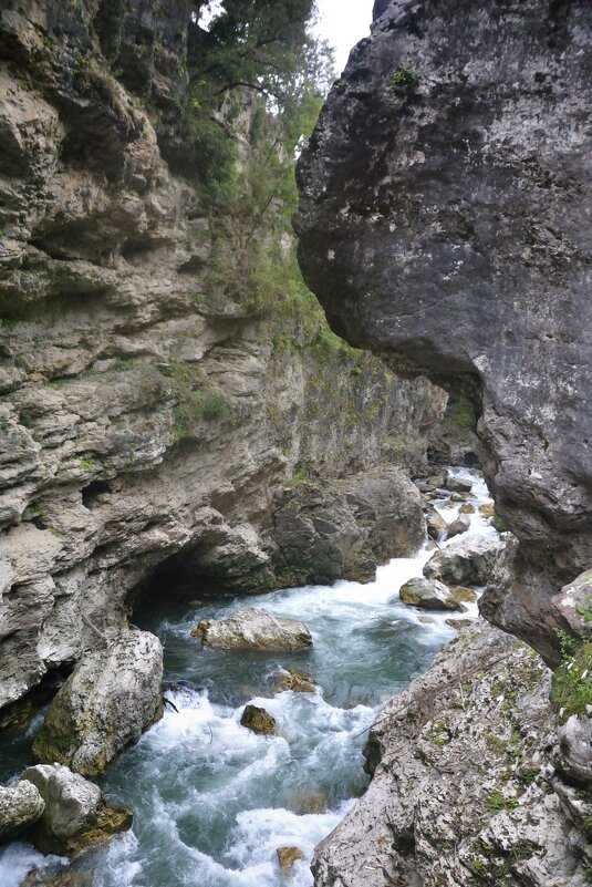 Хаджохская тесниа - Марина Виноградова