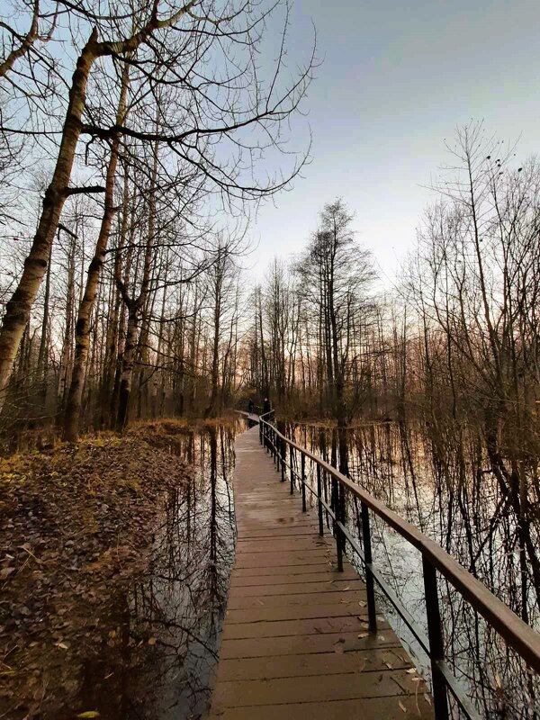 Печаль - Хватова Марина 