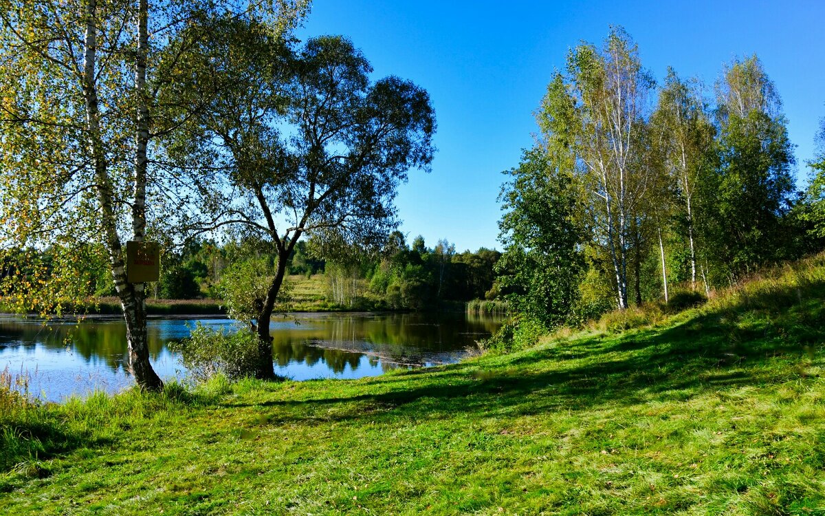 Клёвое место. - Милешкин Владимир Алексеевич 