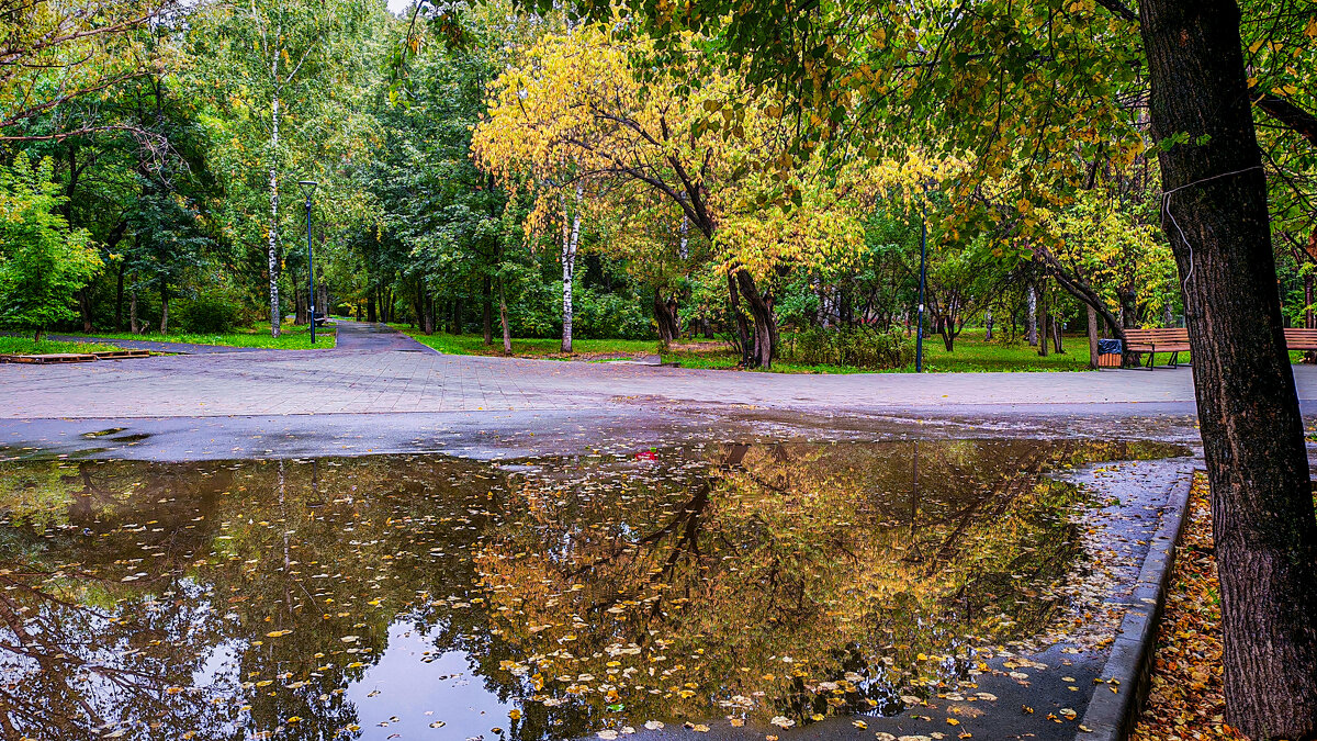 В городе осень - Dmitry i Mary S