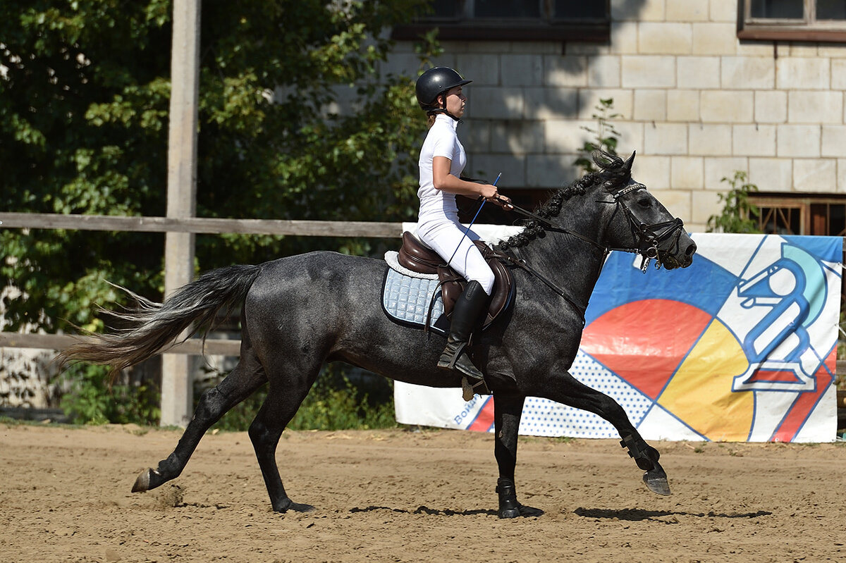 Красота и Грация! - Александр Гриднев