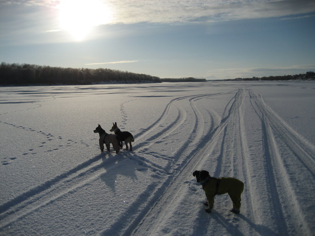 Зима - Anna Ivanova