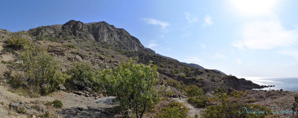 Природа Крыма - Amazing Cosmea