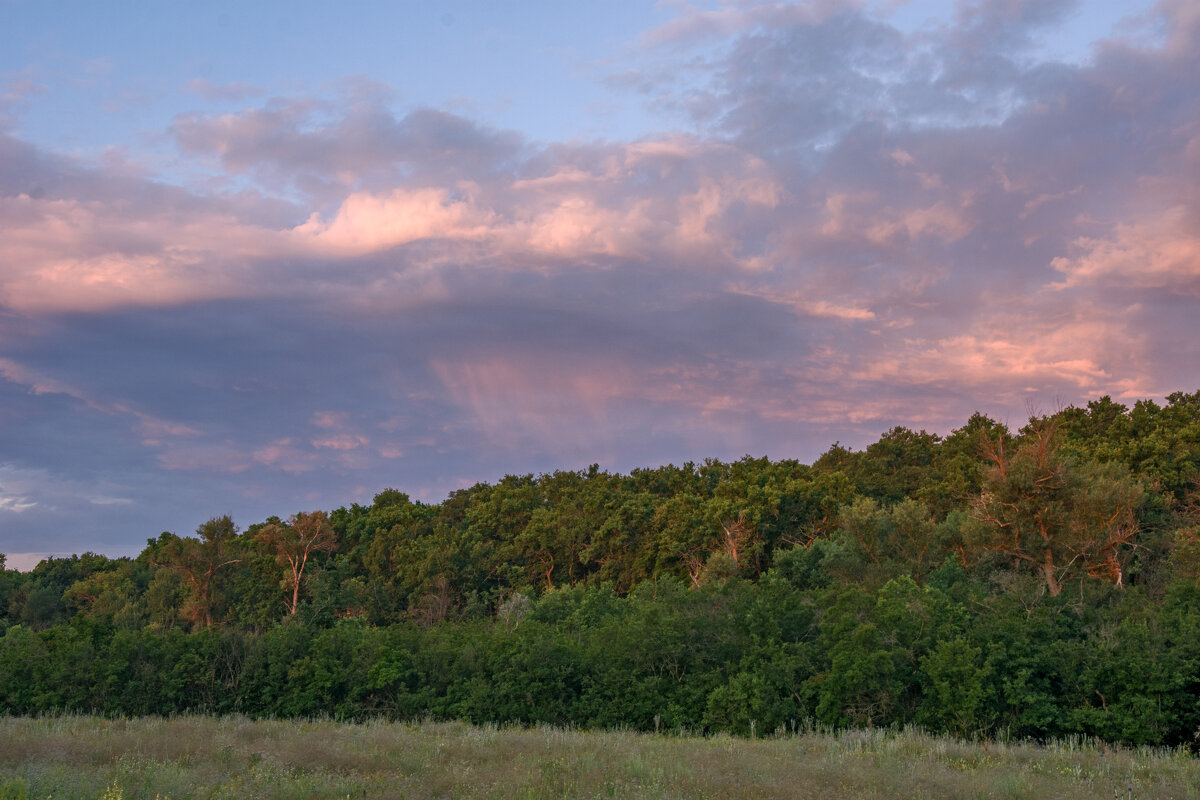 На рассвете - Наталья Димова На рассвете - Наталья Димова
