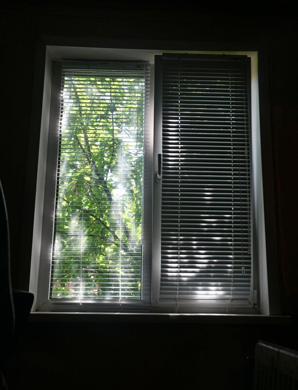 Тени и блики окна - Сергей Шаврин