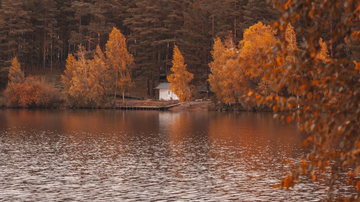 Осень носит больше золота в своих карманах, чем все другие времена года. - Вадим Басов