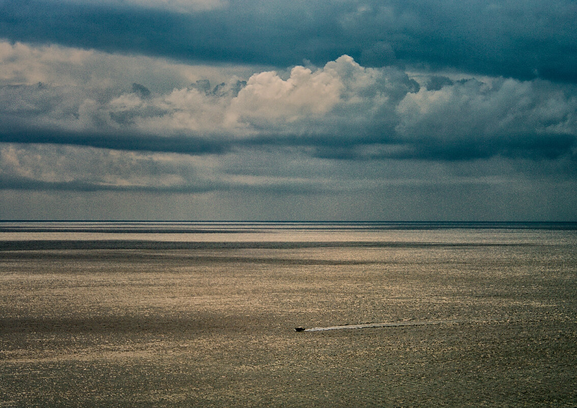 Краски Бархатного сезона - Игорь Хижняк