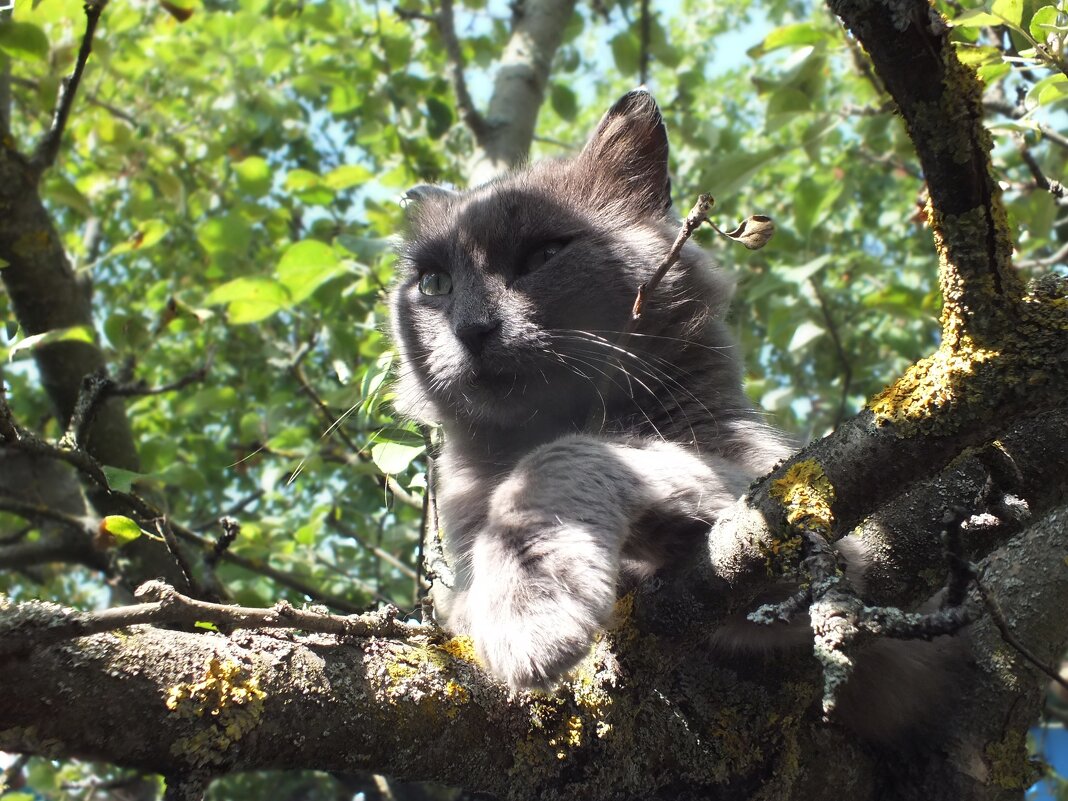 ** - Зоя Мишина