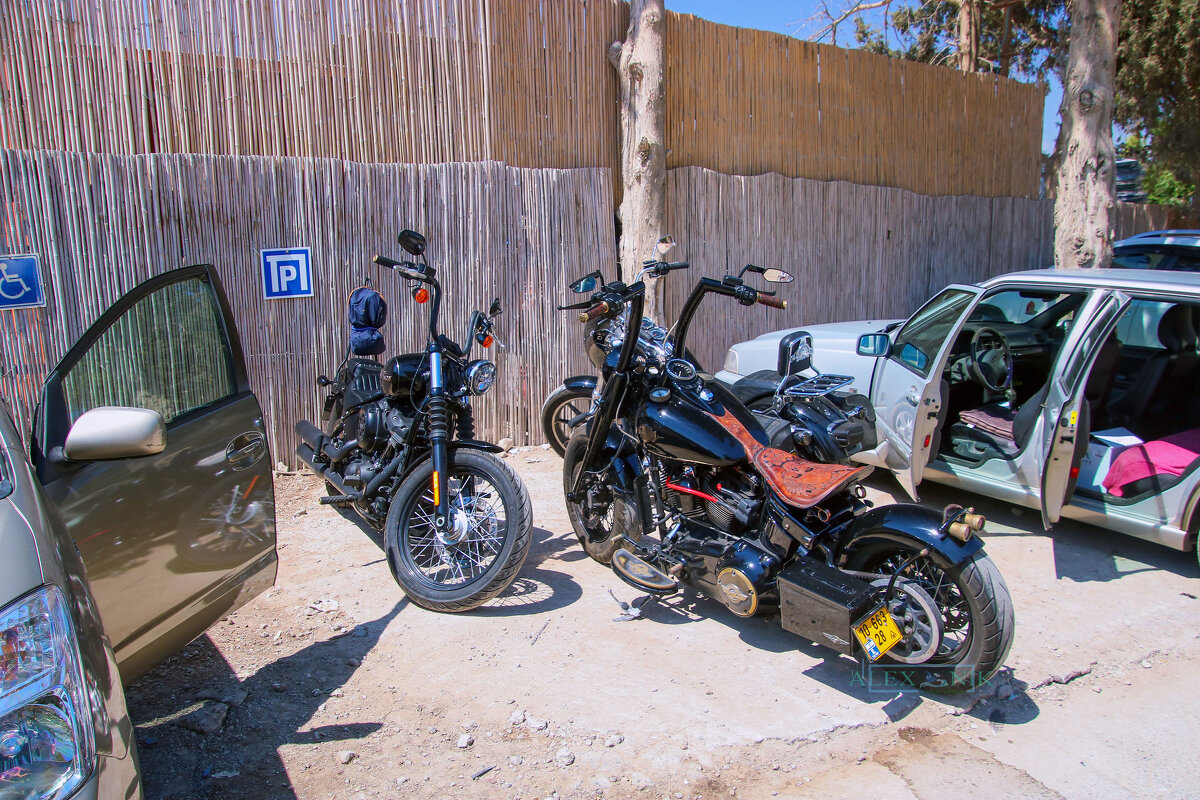 Между машинами. - Argaman Табашник