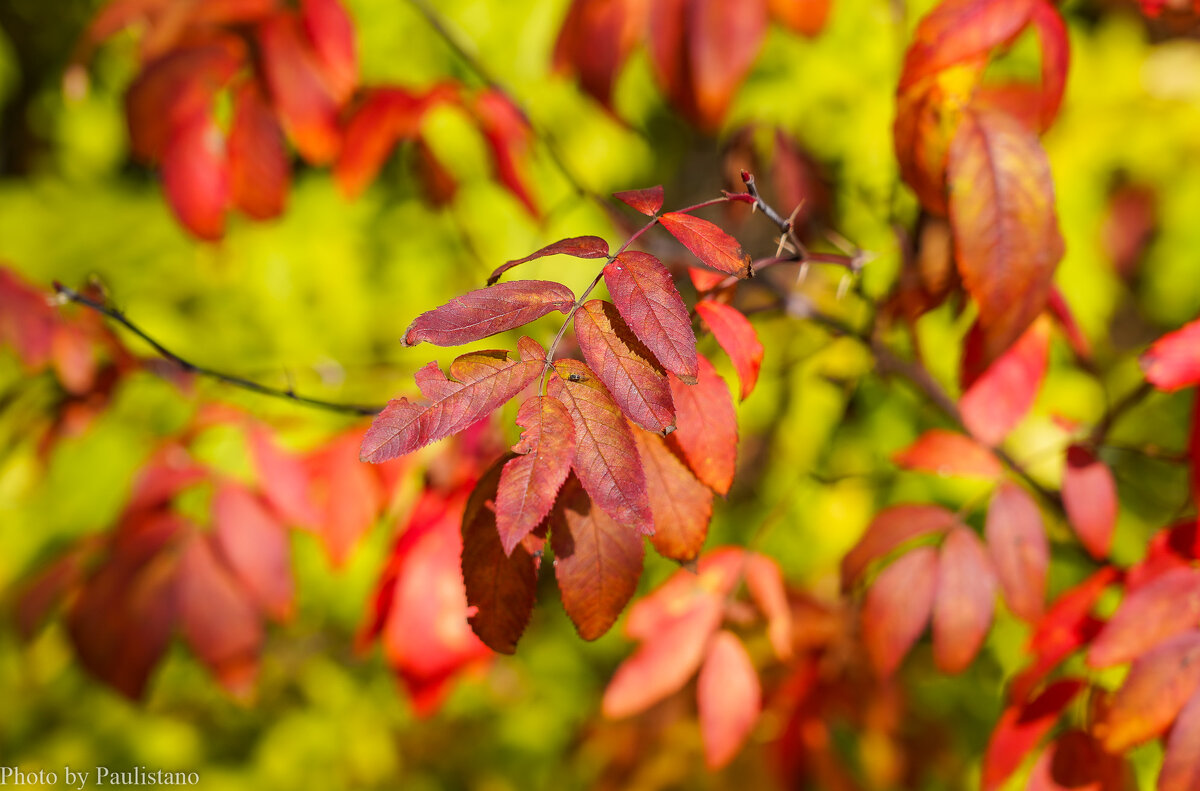Палитра сентября... - Владимир Жданов