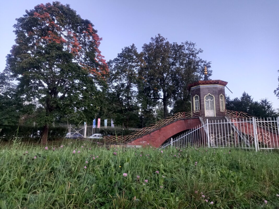 Осень - Сапсан 