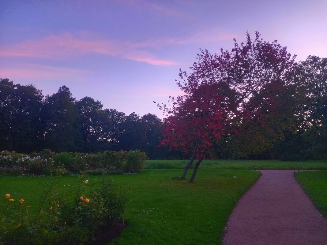 Закат - Сапсан 