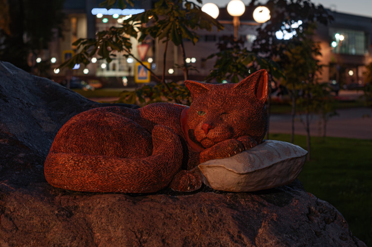 В Боровичах дали кличку керамическому рыжему коту, его скульптуру установили в Керамик-парке - Александр Филатов