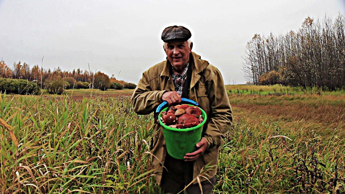 Сентябрь....С  грибами! - Владимир 
