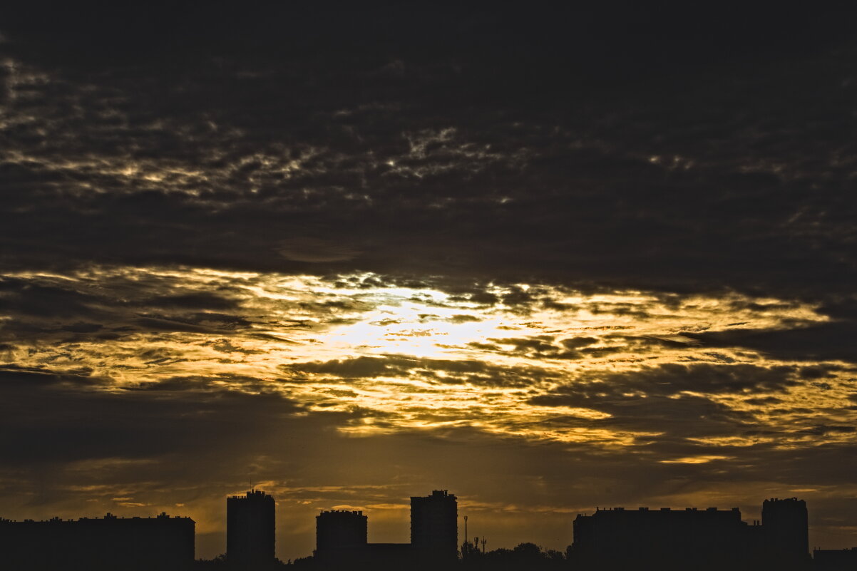 рассвет - Giant Tao /