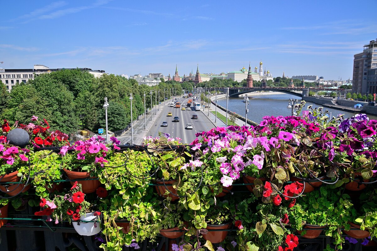 - - Владимир Мигонькин