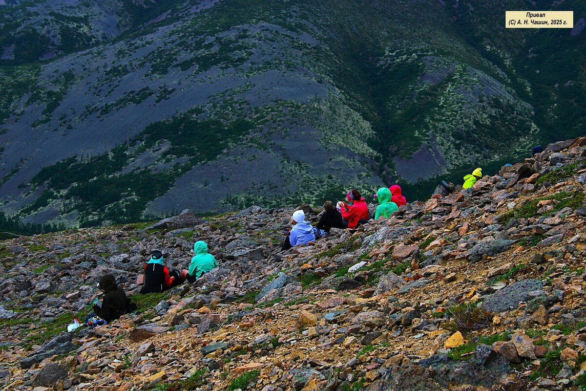 Привал - Александр Чашин