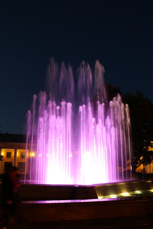 Вечернее шоу фонтана - Ольга Вечернее шоу фонтана - Ольга