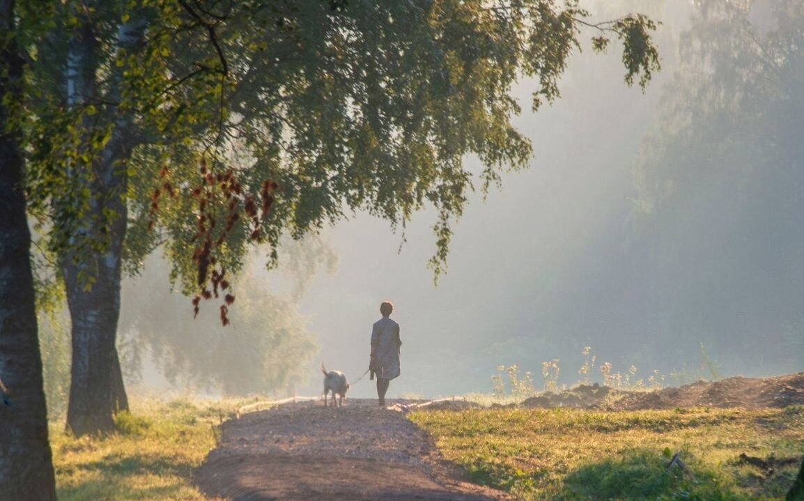 Утренний выгул....... - Юрий Цыплятников
