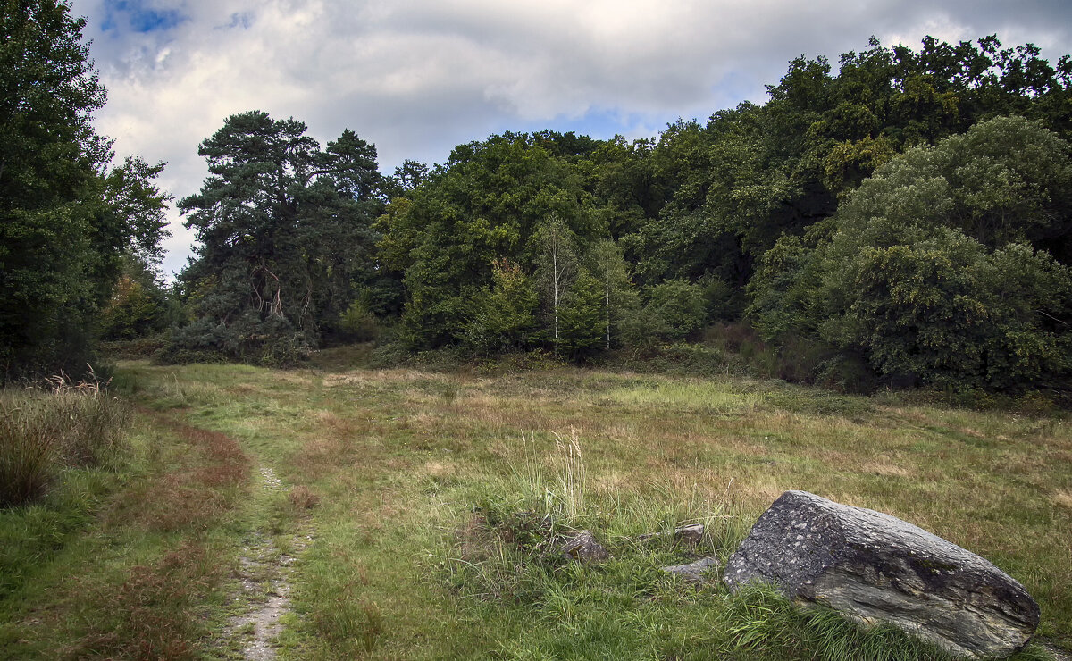 У камня - Андроник Александр 