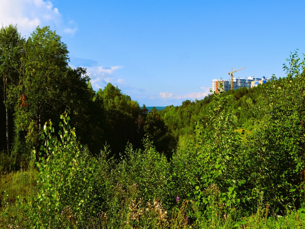 Чебоксары. Чернышевский овраг. - Пётр Чернега