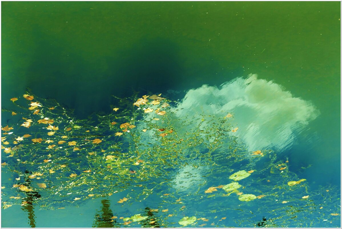 ОСЕНЬ... - Elvira E. 