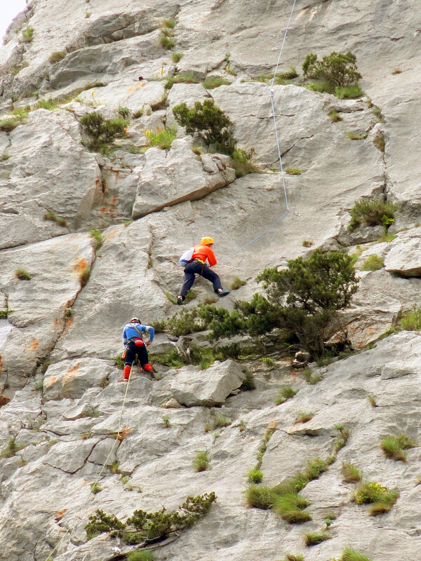 вверх по кошке - Ольга вверх по кошке - Ольга