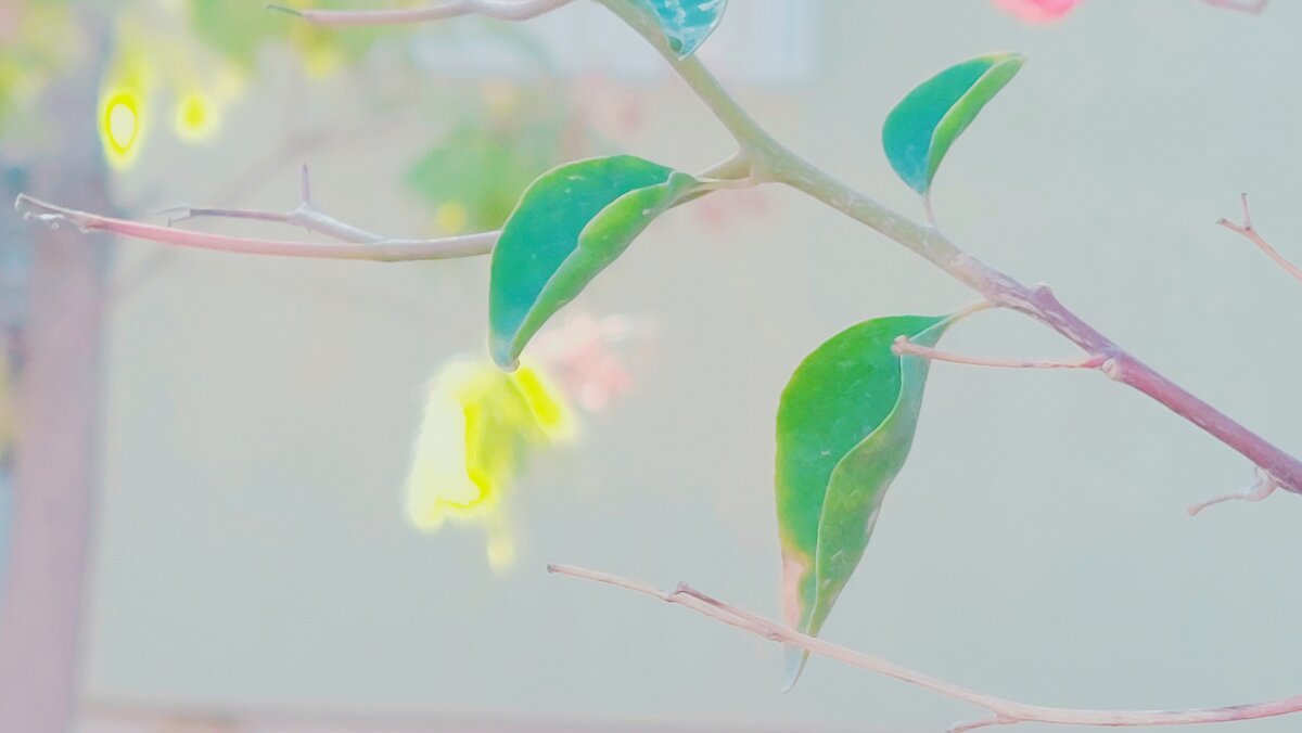 13  ОПЕН (346) - OPEN WAYS ALL