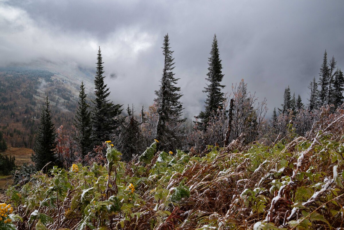 Шерегеш сегодня - Валерий Михмель 
