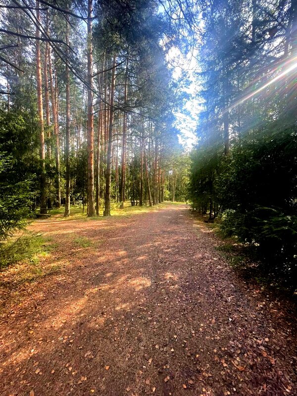 Подмосковье - Любимова Ольга 