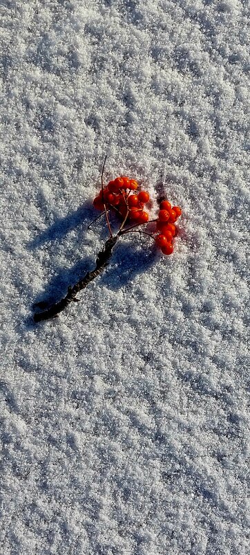 Постановочное фото - Хватова Марина 