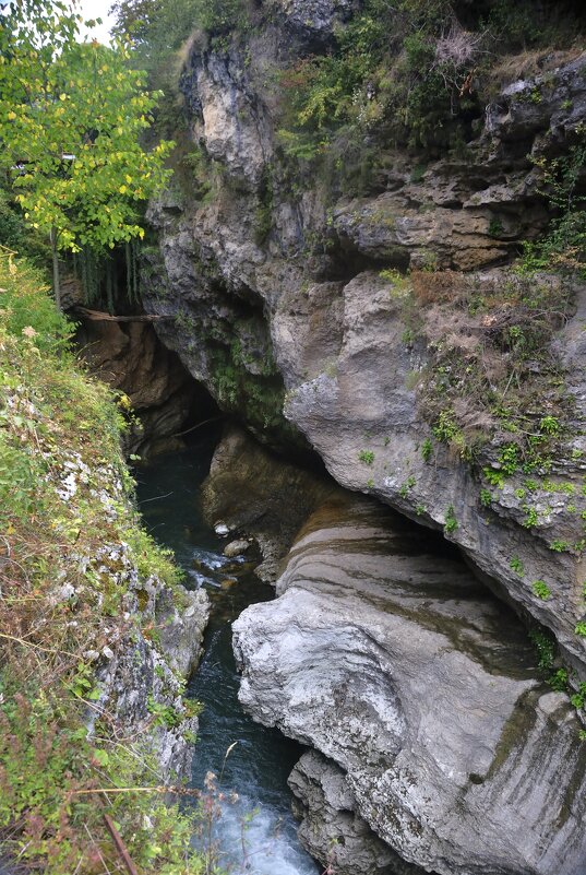 *** - Марина Виноградова