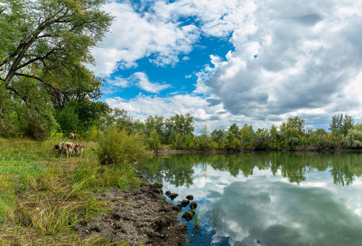 Природный парк Волго-Ахтубинская пойма. Волгоградская область. - Дина Евсеева