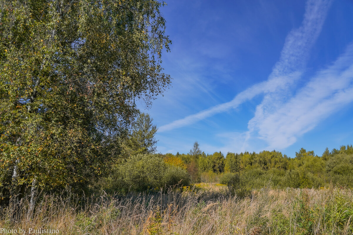 На опушке... - Владимир Жданов На опушке... - Владимир Жданов