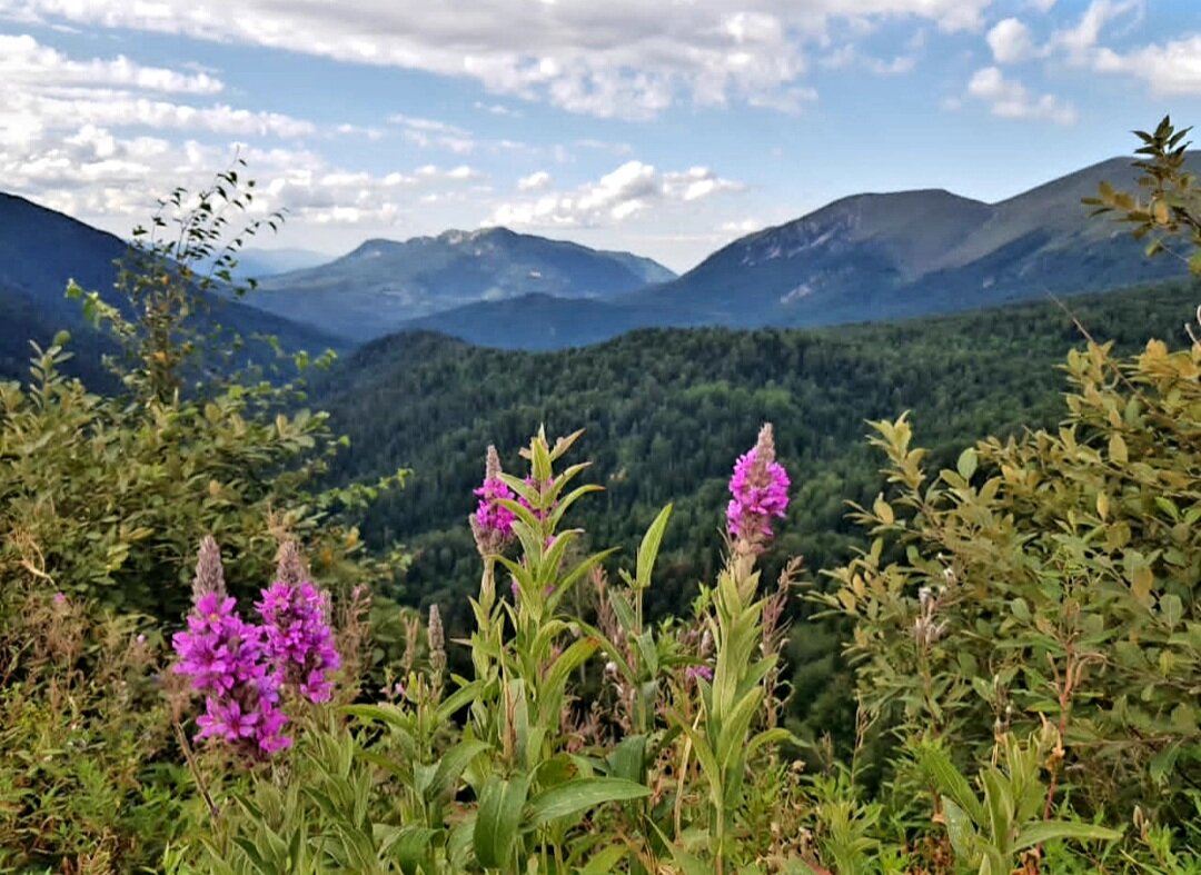 ЗАПАДНЫЙ КАВКАЗ - Tata Wolf ЗАПАДНЫЙ КАВКАЗ - Tata Wolf