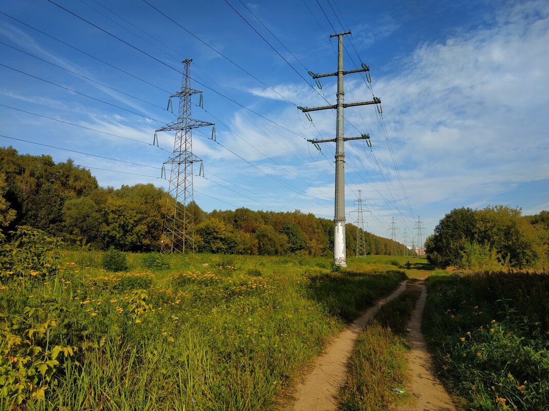 Хожу под высоким напряжением (220 кВ) - Андрей Лукьянов