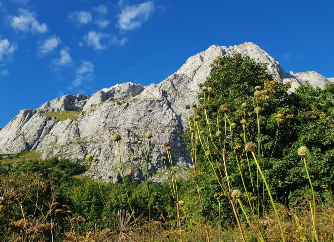 Пшехский водопад - Tata Wolf