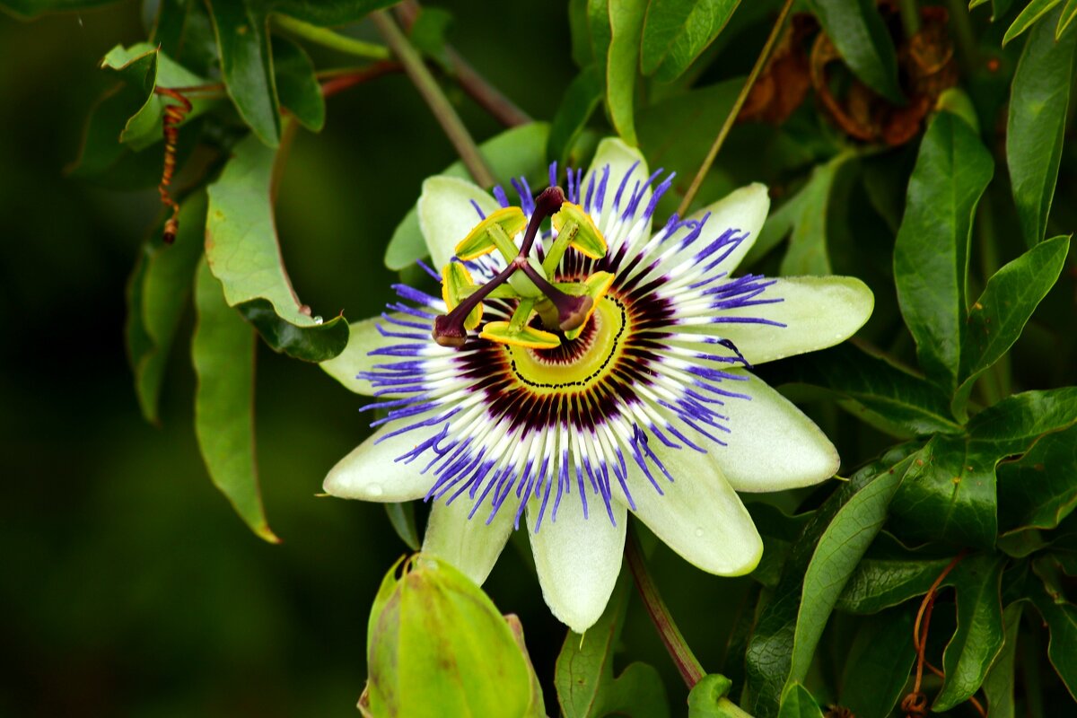 Фантастический - Юрий. Шмаков