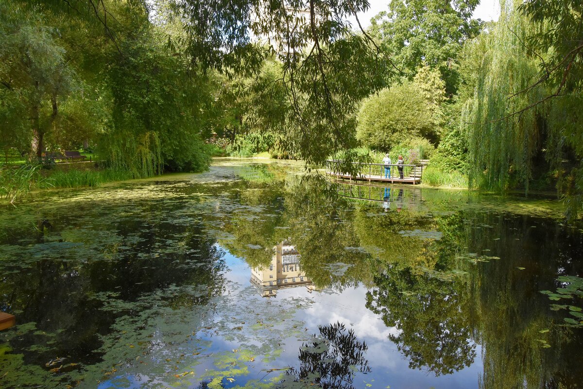 Москва. Август в Аптекарском огороде. - Наташа *****