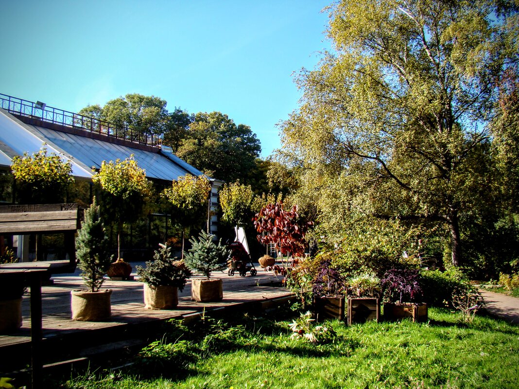 Теплицы и кадушки ,,,) - Анатолий Колосов Теплицы и кадушки ,,,) - Анатолий Колосов