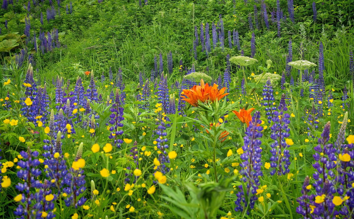 Палитра. - fillarret-2 Палитра. - fillarret-2