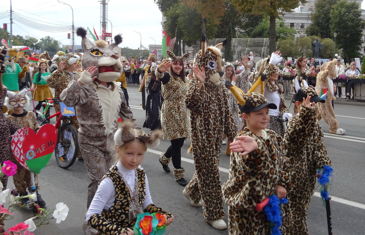 Рыси идут - PRP Рыси идут - PRP