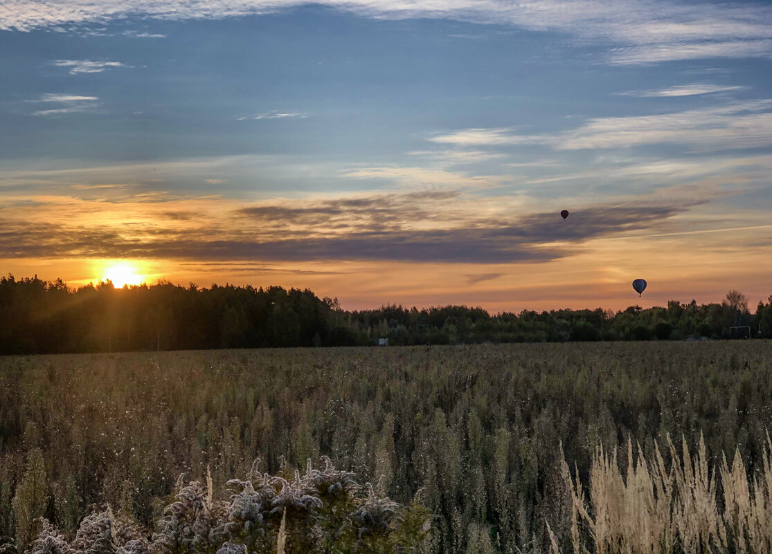 В середине сентября - Александр Ковальчук