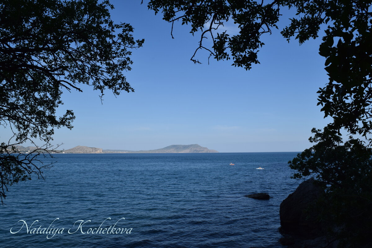 Природа Крыма - Amazing Cosmea