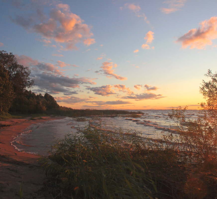 *** - Сергей Григорьев