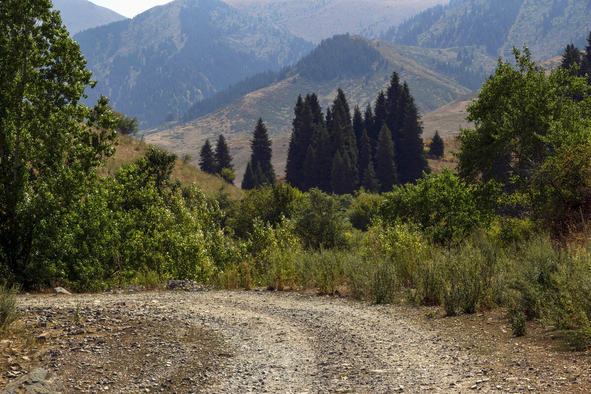 Не торопимся... - LudMila 