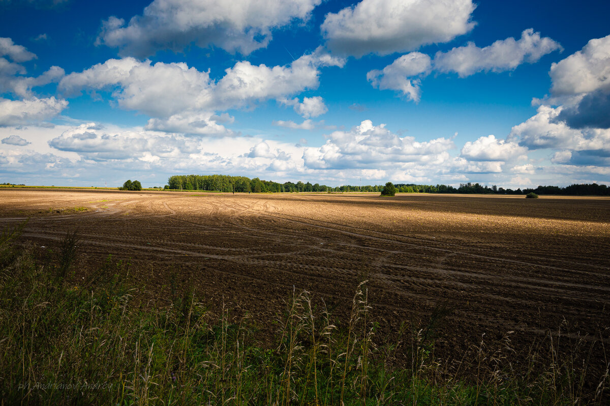 Поле. - Андрей Андрианов